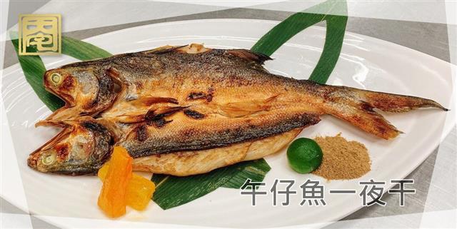新菜介紹【午仔魚一夜干】